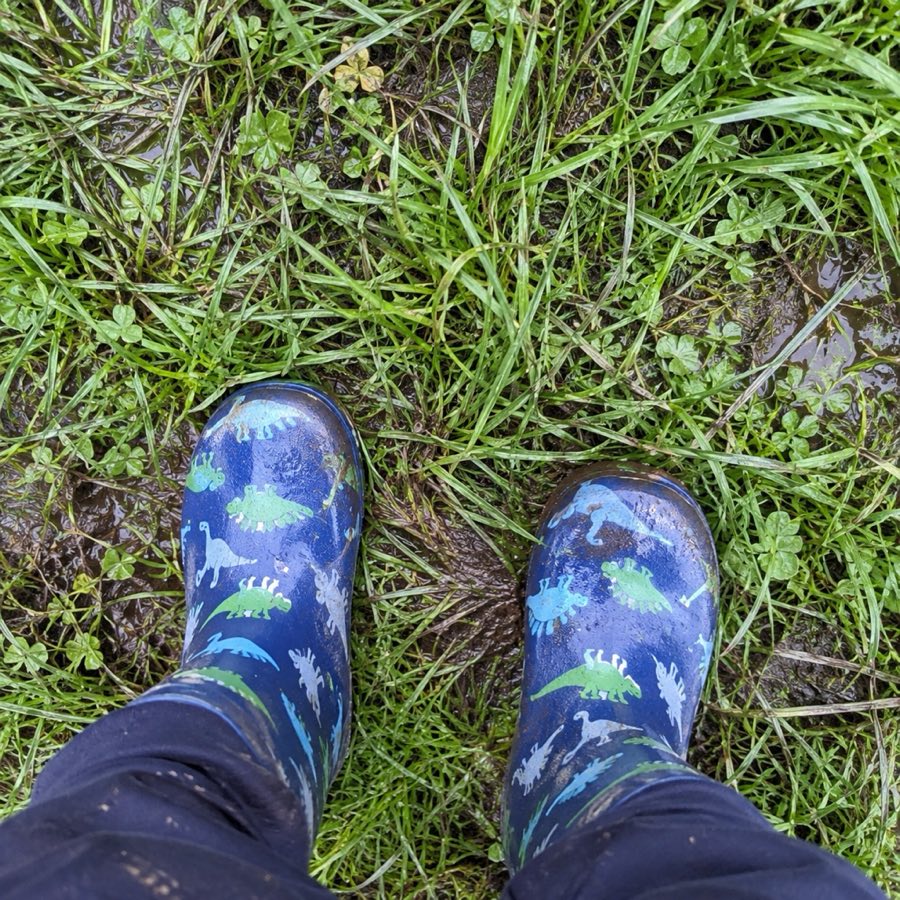 A child’s wellington boots in wet grass, looking down at them